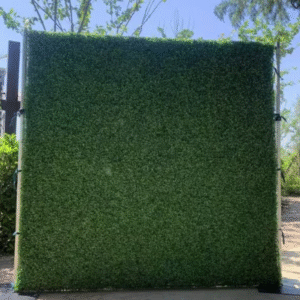 Grass Wall