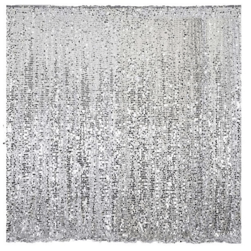 Sequin Backdrop